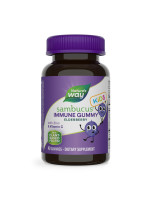 Nature's Way Sambucus Kids Immune Gummy - Детские жевательные конфеты с черной бузиной, витамином C и цинком, 40 шт Фото 1