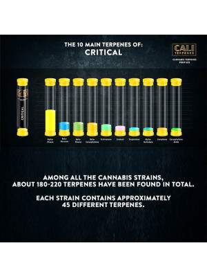 Терпены Cali Terpenes Critical Фото 2