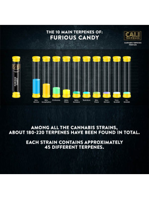 Терпены Cali Terpenes Furious Candy Фото 2