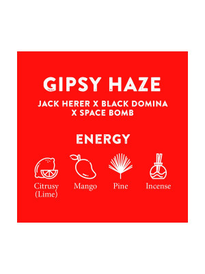 Терпени Cali Terpenes Gipsy Haze 1 мл Фото 2
