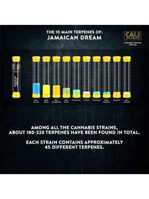 Терпены Cali Terpenes Jamaican Dream Фото 2