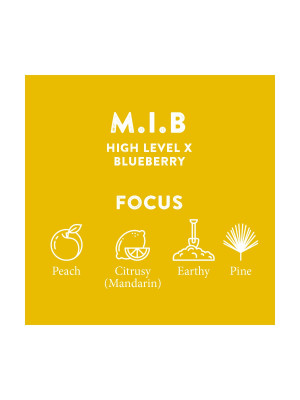 Терпены Cali Terpenes M.I.B. 1 мл Фото 2